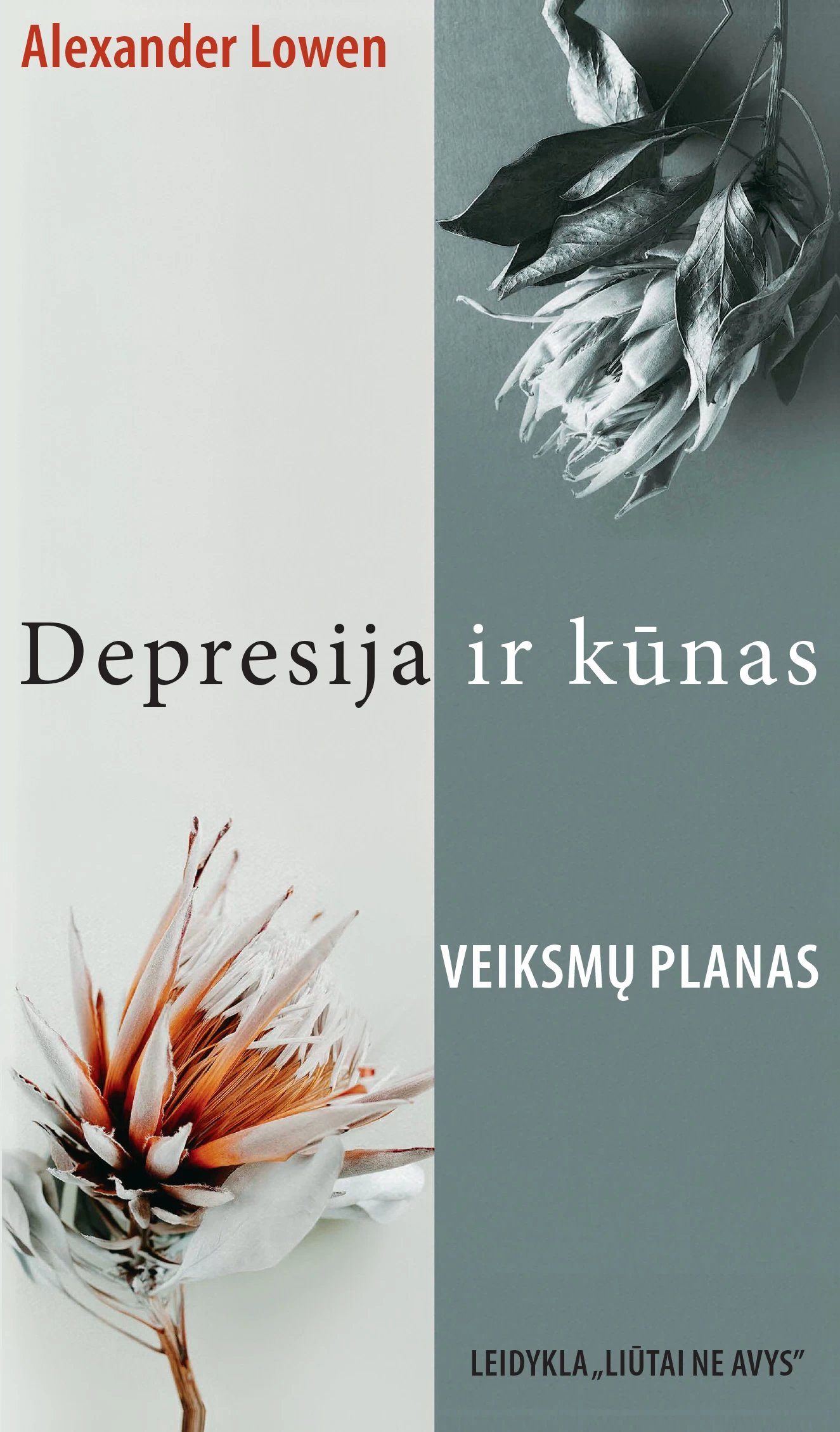 Depresija ir kūnas: revoliucinis garsaus psichiatro metodas, padėsiantis įveikti depresiją